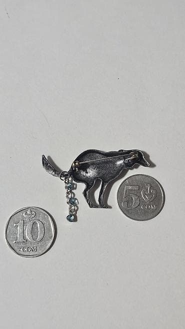 Женская обувь: Брошь — 3