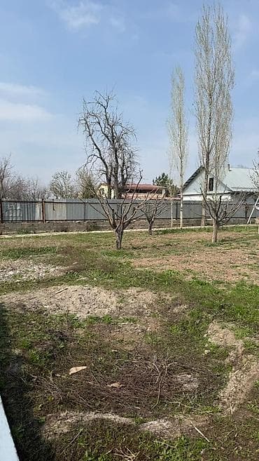 Жер тилкелери: 4 соток, Кызыл китеп — 2