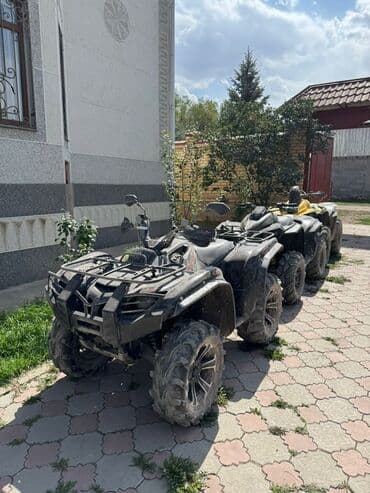 новые мотоциклы: Квадроцикл Yamaha, Бензин, 700 куб. см, Взрослый — 2