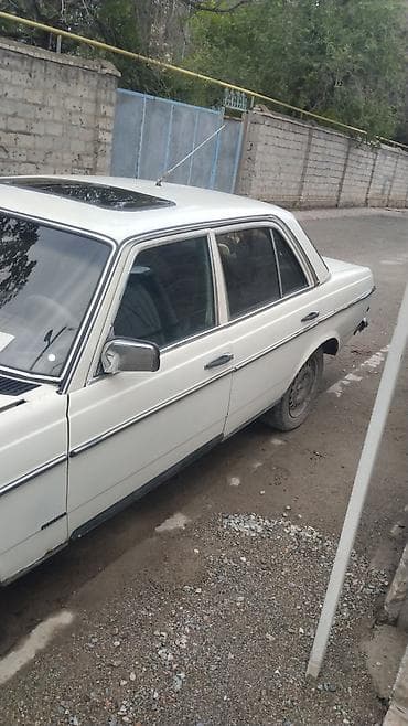 Mercedes-Benz W123: 1982 г., 2.3 л, Кол менен иштөөчү, Бензин, Седан — 5