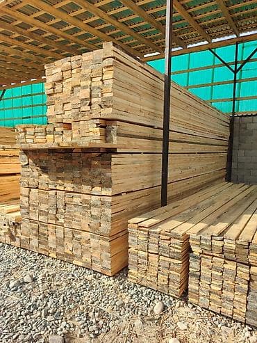 Тактайлар, Кырдуу, Кызыл карагай, Кургак