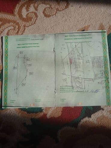 продаю дом алтын ордо новопавловка: 85 соток, Айыл чарба үчүн, Сатып алуу-сатуу келишими — 2