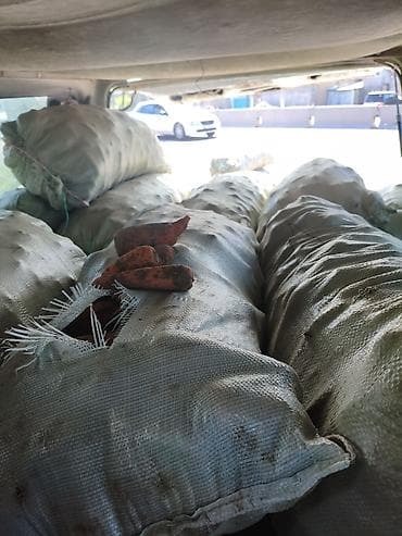 Корм морковка