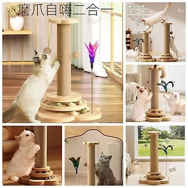 приюты для животных: Продаю новые в отличном качестве лотки крытые и открытые,а так же — 9