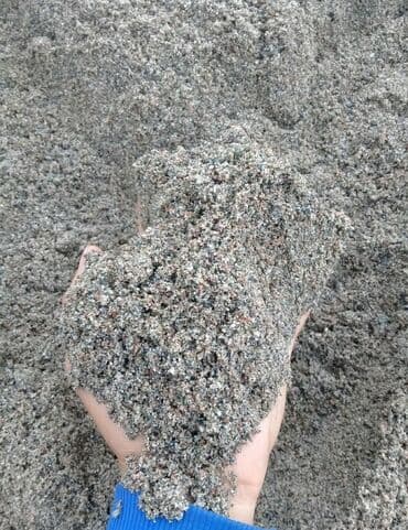 опрыскиватель садовый бишкек: Отсев камаз доставка Не дорого Отсев мытый Отсев для бетона Мытый — 4