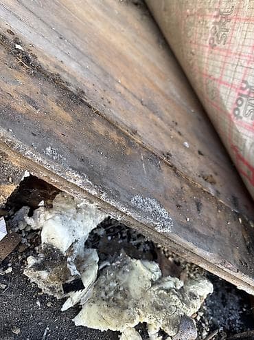 Рейки: Вагонка, Сосна, Для пола, Евровагонка — 4