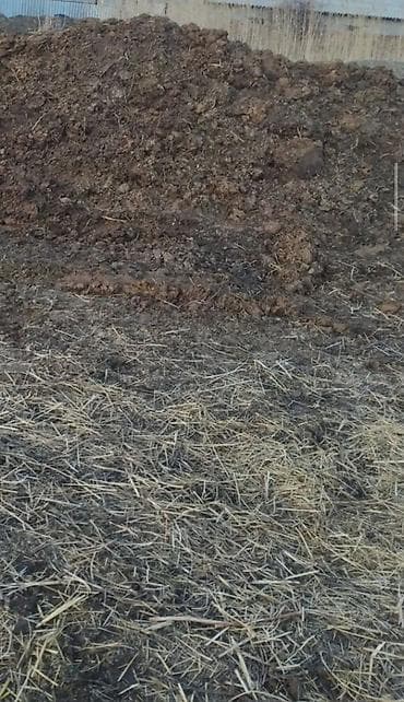 неон реклама: Навос — 1