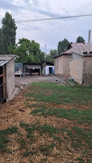 Кыймылсыз мүлк: Земельный участок с хозяйственными постройками и загонами для скота - — 7