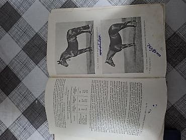 Книги и журналы: Продаю редкую книгу. Тираж-25тыс .экз. Год выпуска 1952. ( Москва ) — 3