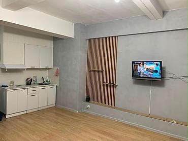 Квартиры: Студия, 36 м², парк Фучика Элитка, Цокольный этаж этаж, Евроремонт — 7