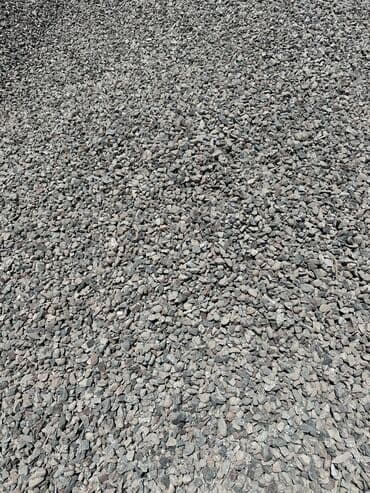 продам ячмень оптом: Отсев, Для стяжки, Оптом, В розницу, Камаз — 2