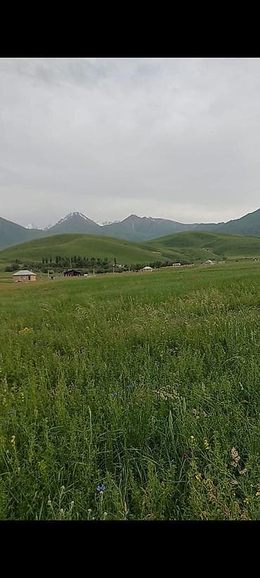 70: 7 соток, Для строительства, Красная книга — 2