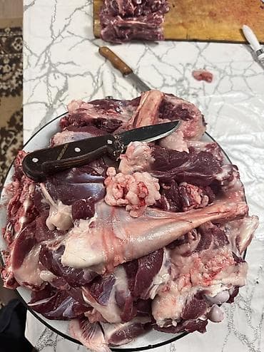 акун мука: КАСАПЧЫ сойуу,жиликтоо, куйкало,чучук жасоэт бышыруу чалыныздар!!! — 3