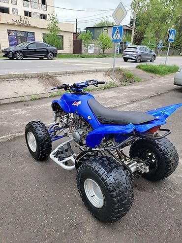 квадрацикл: Квадроцикл Yamaha, Бензин, 350 куб. см, Взрослый — 3