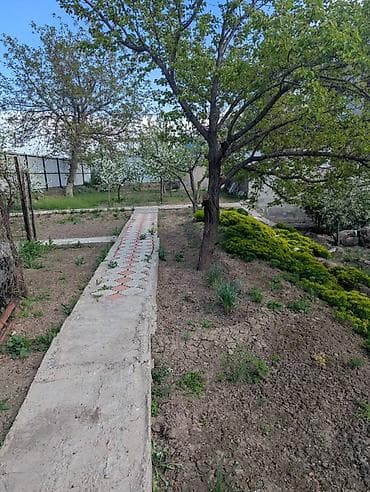 дом участок: 11 соток, Красная книга, Тех паспорт — 8