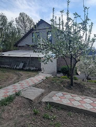 дом участок: 11 соток, Красная книга, Тех паспорт — 4