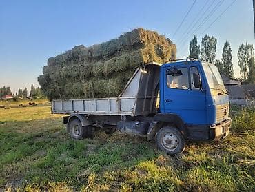 Грузовик, Mercedes-Benz, Стандарт, 7 т, Новый — 3