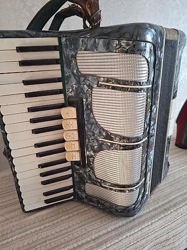 Аккардеон с футляром