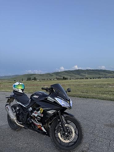 авто по гос номеру: Спортбайк Kawasaki, 450 куб. см, Бензин, Взрослый, Новый — 4