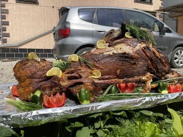 эчки бишкек: Козу гриль 

Таш кордо

Заказ алабыз 

Ош 
 

Бишкек — 1