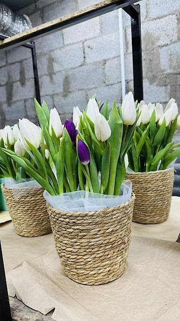 Балатылар: Букет-23 тюльпана в плетёной корзине - Состав: свежесрезанные — 2