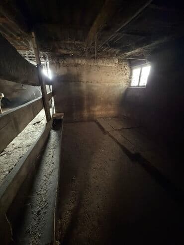 продается дом селекция: 2000 м², 5 бөлмө, Забор, тосулган — 19