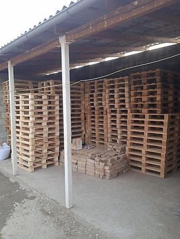 прием дерево: Поддон Для пищевой промышленности, В наличии — 3