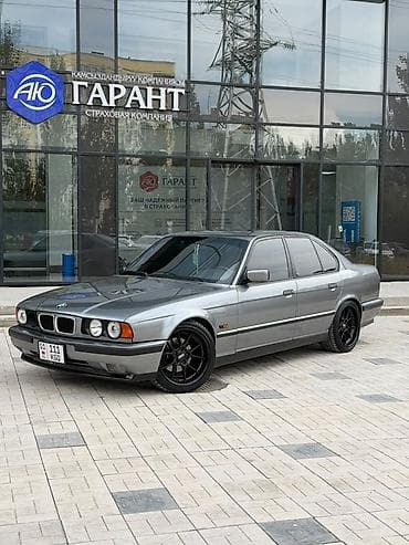 hella: BMW 5 series: 1994 г., 4.6 л, Механика, Бензин, Седан — 1
