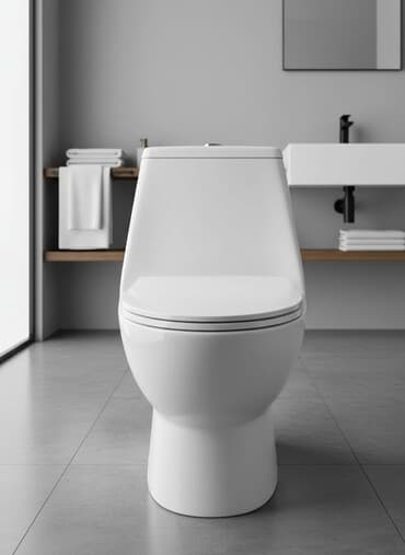 устанавливаем унитазы: Унитаз Напольный, Новый, Материал: Керамика, Бесплатная установка — 1