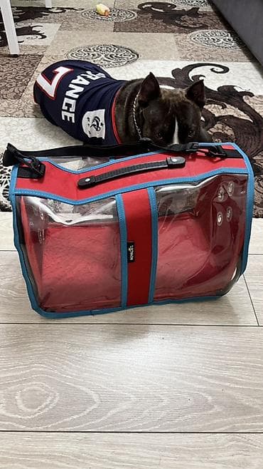 рюкзак для кошек: Переноска для животных (кошек и мелких собак) стандарт для перевозки — 1