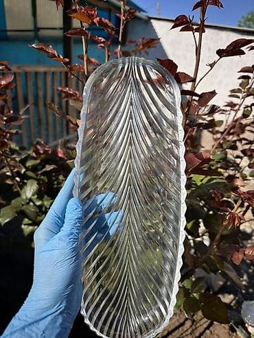 Кафелер, ресторандар үчүн: Посуда б/у Фруктовницы 3шт -1500с Для нарезки 4шт-1500 Тарелки — 10