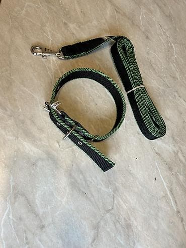 german shepherd: Комплект ошейник+поводок для крупных собак. Амуниция из нейлона — 3