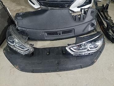 самурай купить: Соната нурайс целый морда 2018-19 — 1