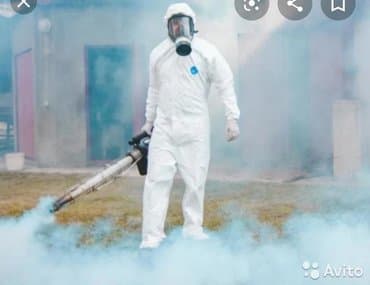 уничтожение клоп блох: Дезинфекция!!!любой сложности (*❛‿❛)→Приемлемая цена (*❛‿❛)→Качество — 3