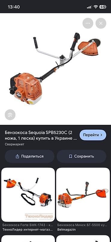 аренда сучкореза: Уборка территории, Стрижка газона — 2