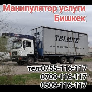 гольф двери: Манипулятор, XCMG — 1