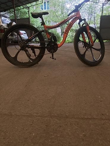 Горный велосипед Triobike/TrioBlade (надпись на раме TRIOblade) — 3