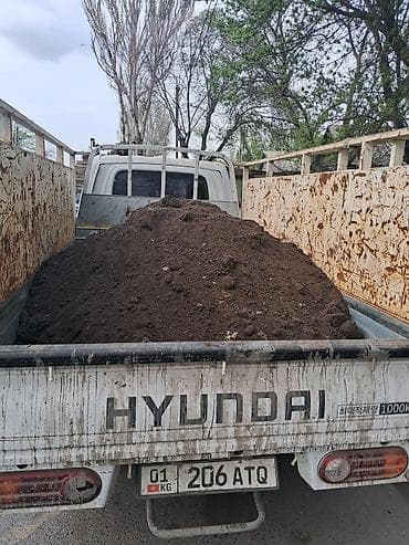 несколько: Портер — 3