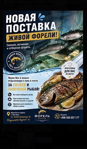 белая вислоухая кошка: Живая и запеченная форель - Новая поставка живой форели: свежая — 2