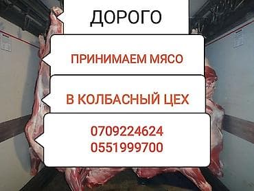 А/ч жаныбарларын сатып алам: Колбаса цехи : Башка а/ч жаныбарлары, Уйлар, букалар, Жылкылар, аттар, | Союлган, Күнү-түнү, Бардык шартта — 1