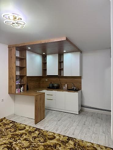 продаю цокольный этаж: 1 комната, 18 м², Элитка, Цокольный этаж этаж, Евроремонт — 10