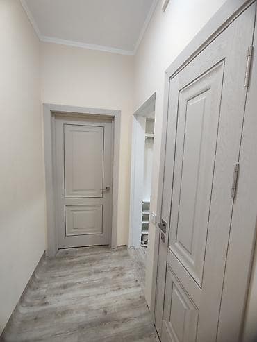 Батирлер: 2 бөлмө, Менчик ээси, Чогуу жашоосу жок, Жарым -жартылай эмереги бар — 4