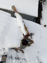 установка газового оборудования на авто: Чистка,монтаж,установка,утепление,ремонт дымоходов.Чистка — 20