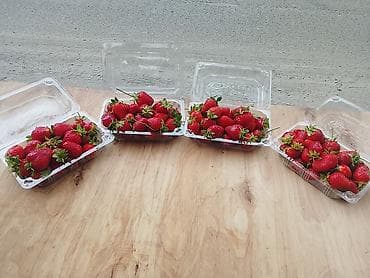 Продукты питания: Клубника Альбион — 1