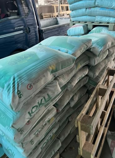 семена кортофеля: M-450, цвет - Серый — 1