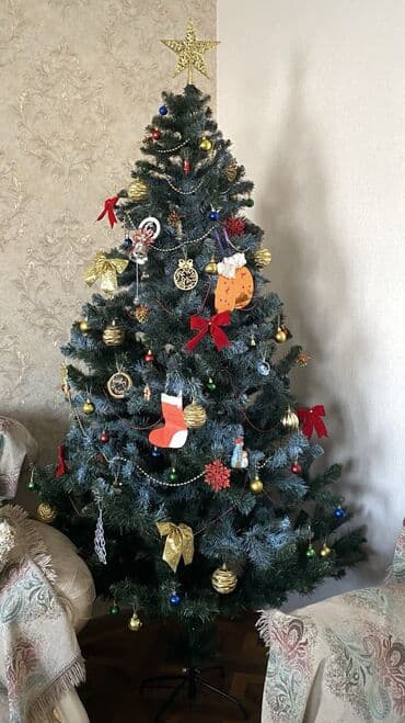лавровое дерево купить: Искусственная новогодняя ёлка (б/у) - Высокая елка: 2 метра - В — 2