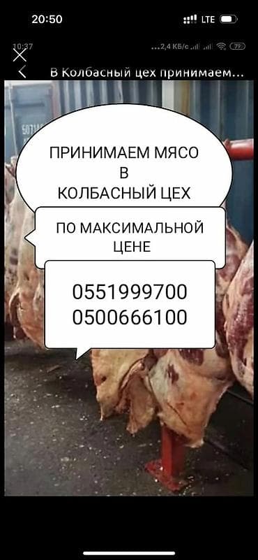 тачка сатылат: Услуга: Приём мяса в колбасный цех. - Закупаем мясо для переработки в — 1
