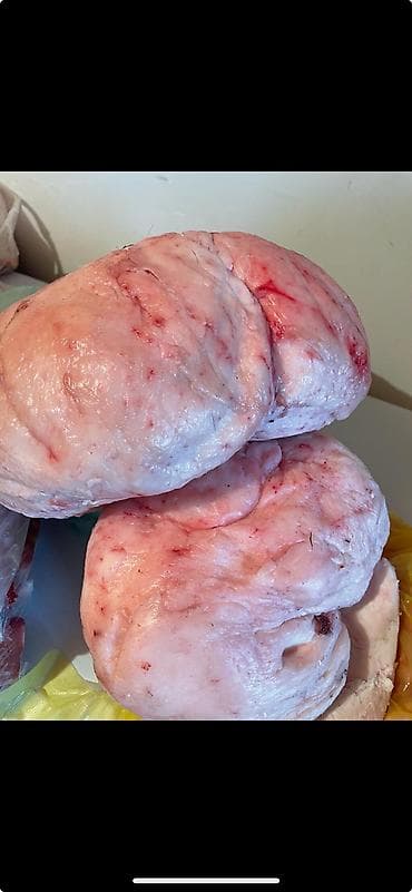 Бараний Курдюк оптом 500 сом😋😋😋тел, — 1