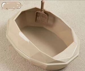 домик для кошки цена: Зоотовары
лоток, кормушка, игрушка, лопатка комплект цена 800 сом — 2