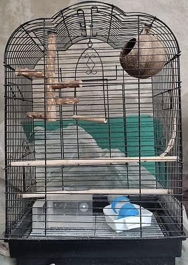Просторная клетка для птиц с полным набором аксессуаров. Особенности